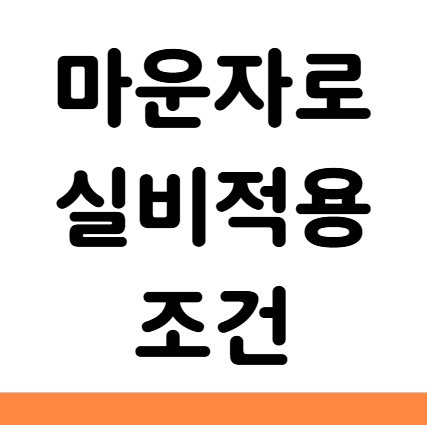  마운자로 실비 조건
