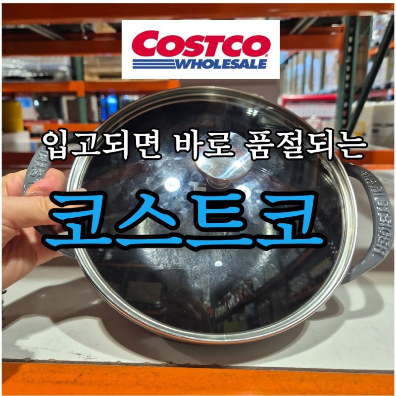 입고되면 바로 사세요 코스트코 무쇠주물 미니웍