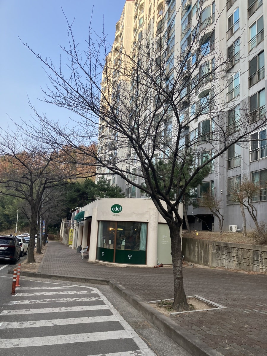 에델 사진 2
