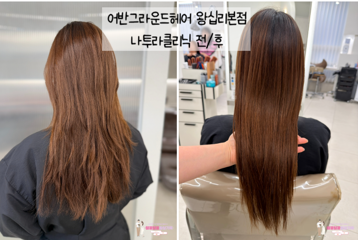  왕십리 미용실 추천 | '어반그라운드헤어 왕십리본점' 유하팀장 나투라클리닉 솔직 후기