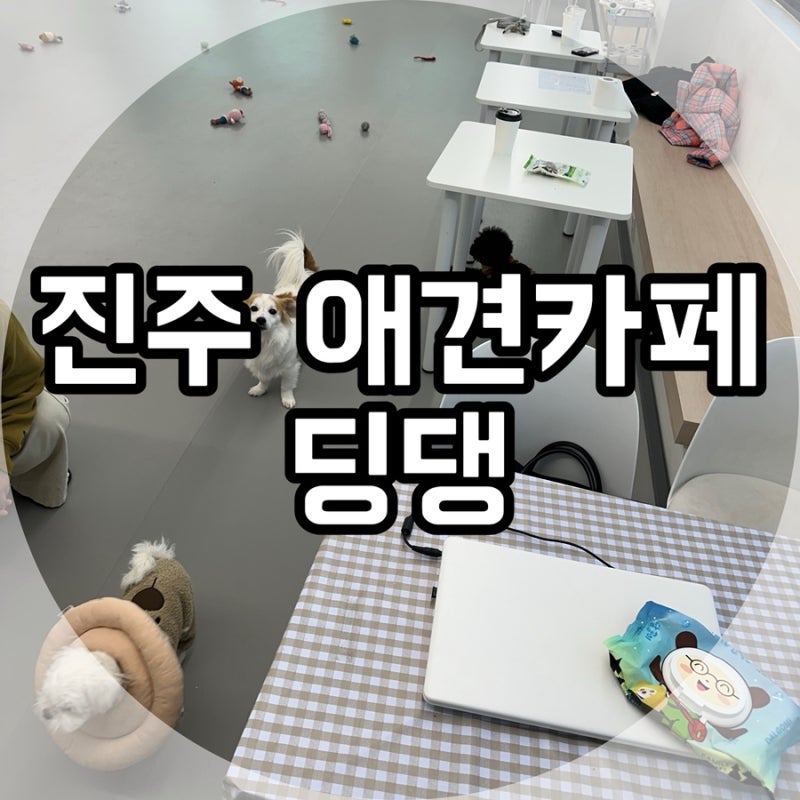사진 2
