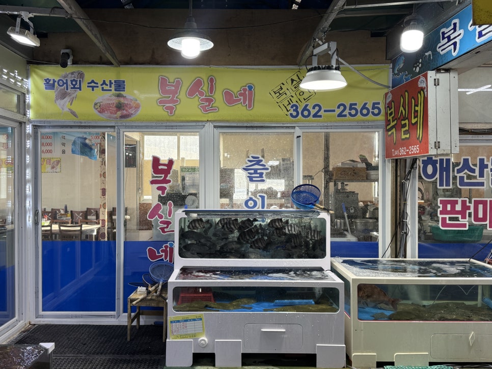 복실네 사진 4