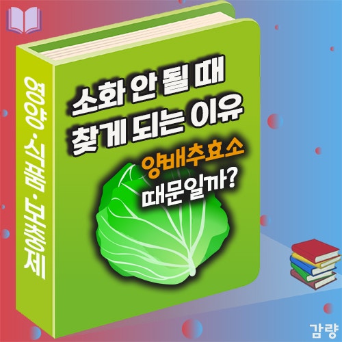 양배추효소 효능 효과 정리｜소화에 도움 될까? 부작용과 먹는방법까지