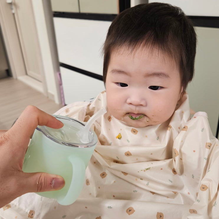  베베그로우 아기 빨대컵 사용 시기, 첫 연습 내돈내산 후기