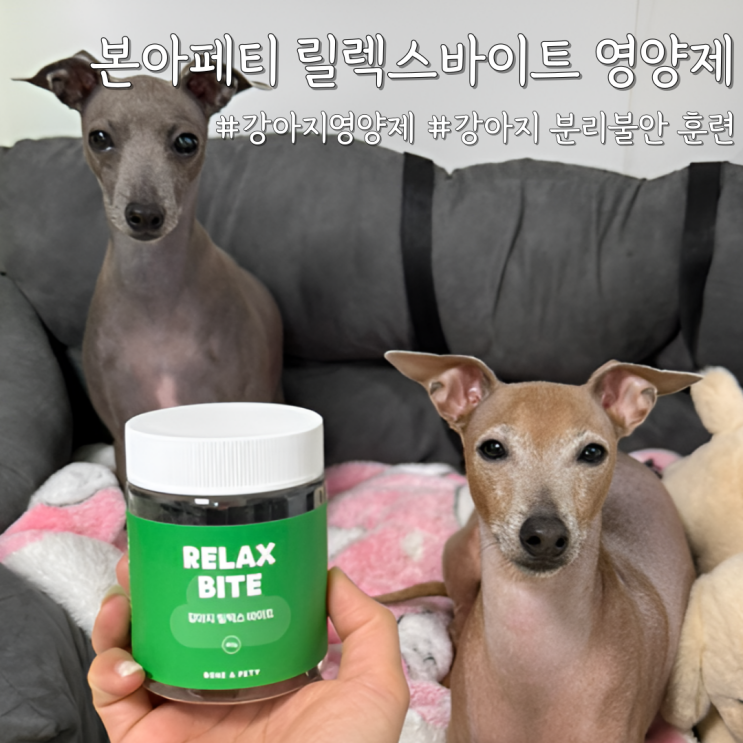  강아지 분리불안 훈련 중이라면? [본아페티 릴렉스바이트 영양제] 실제 급여 후기