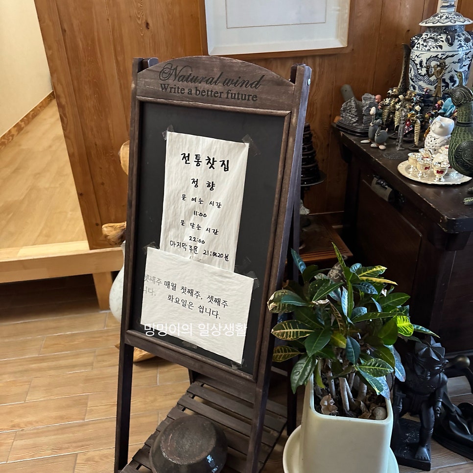 정향 사진 3