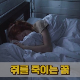 쥐를죽이는꿈이 전하는 의외의 길몽 뜻?