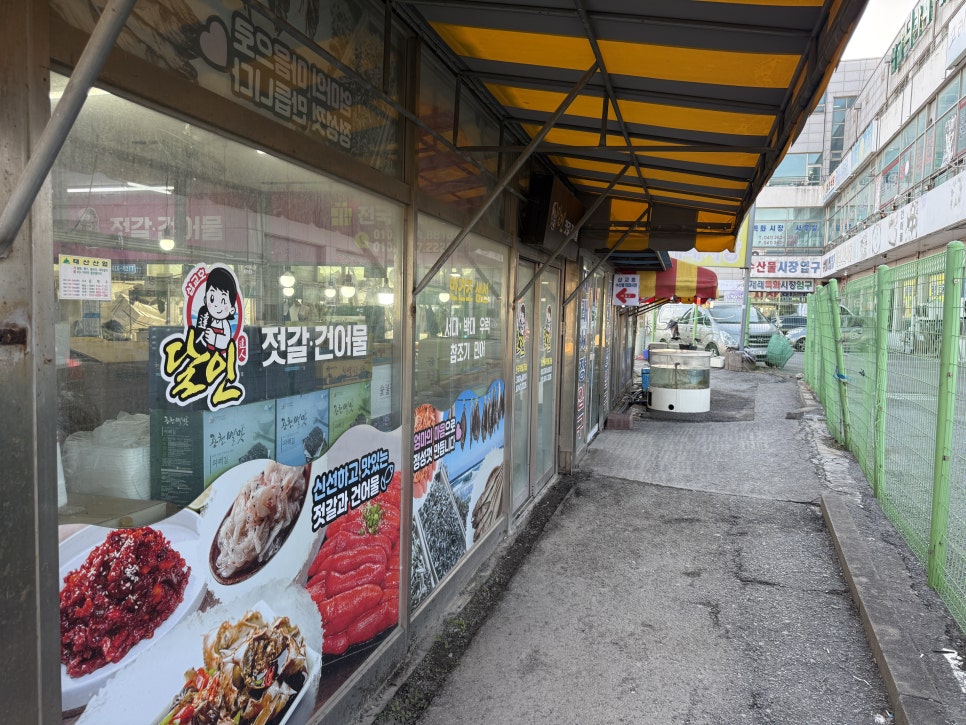 복실네 사진 2