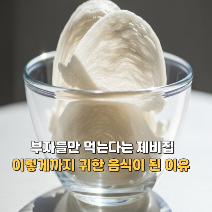  부자들만 먹는다는 제비집, 이렇게까지 귀한 음식이 된 이유