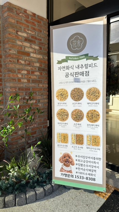 사진 6