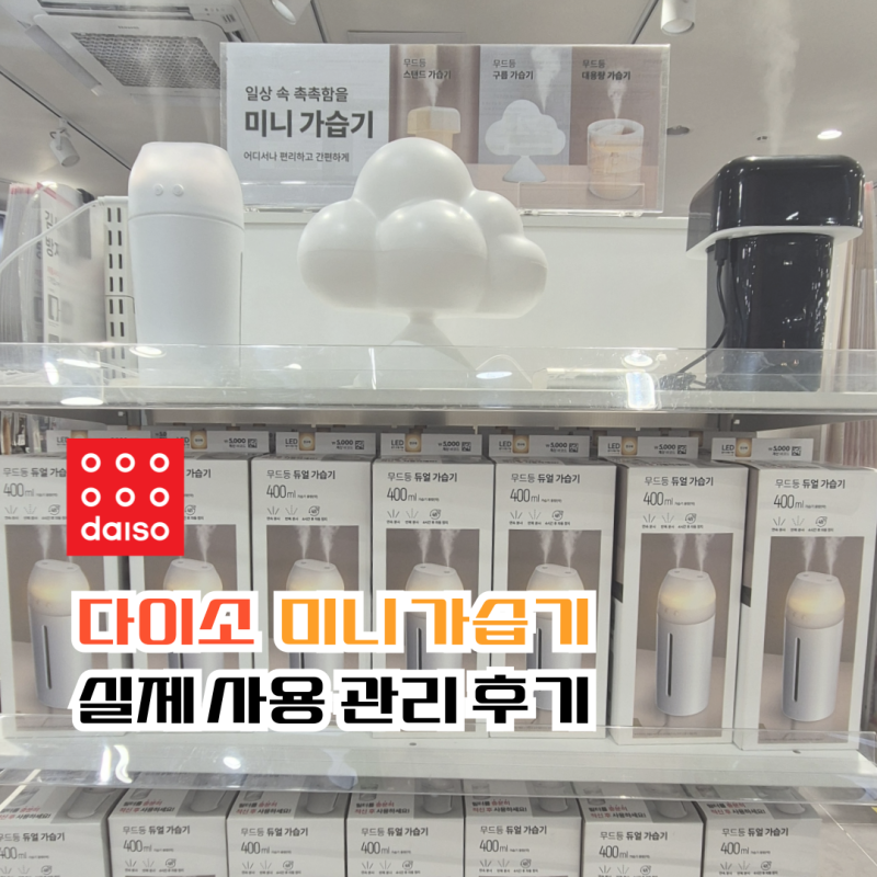 다이소 미니가습기 사무실 책상 사용 관리 찐 후기