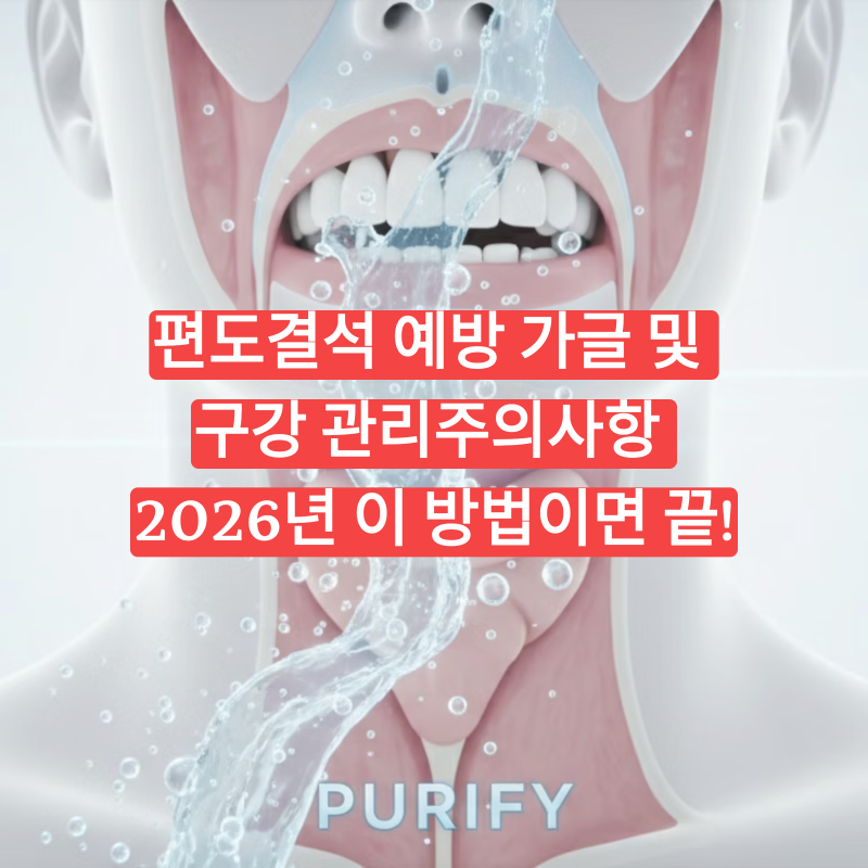 편도결석 예방 가글 및 구강 관리주의사항, 2026년 이 방법이면 끝납니다!