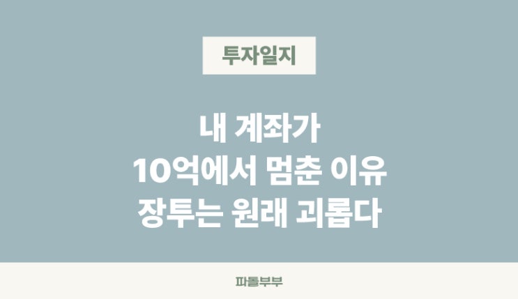  아이렌 IREN 팔란티어 PLTR 주가 몇달째 제자리인가?