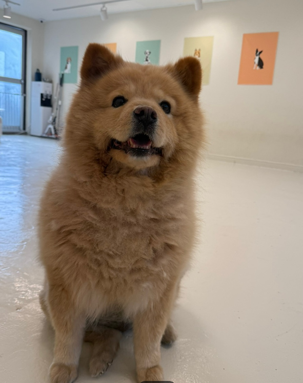 사진 7
