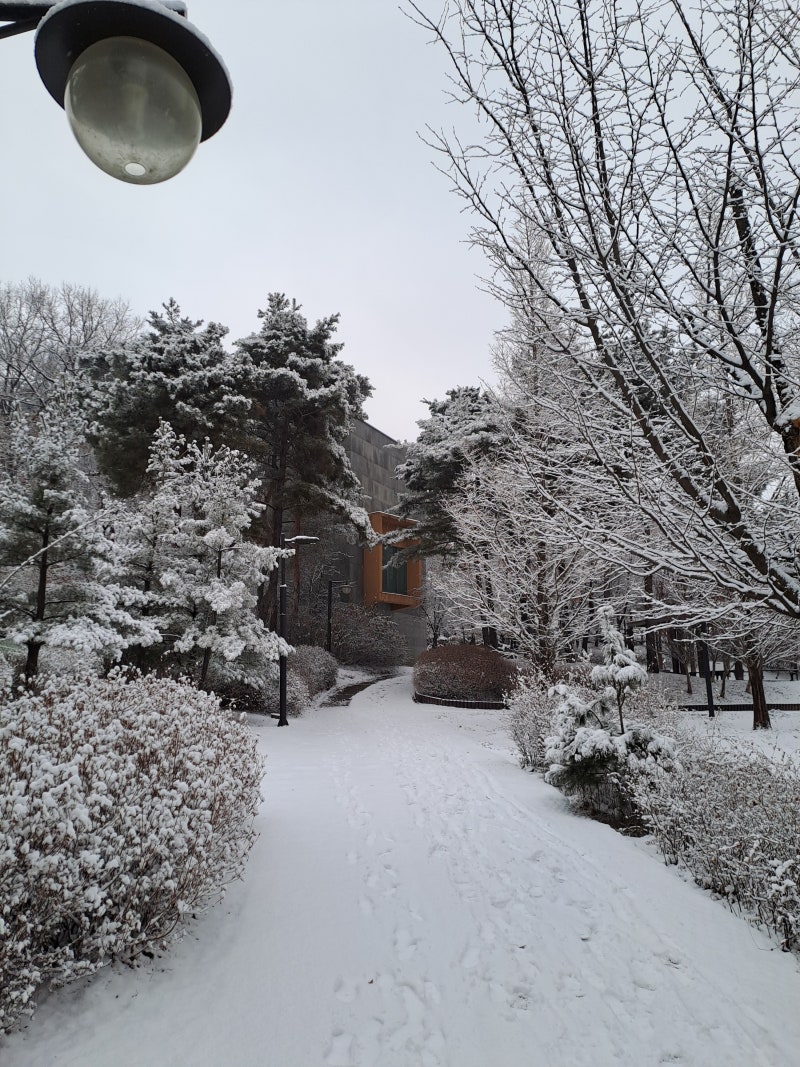 정책지식 2026.1.8. : 네이버 블로그