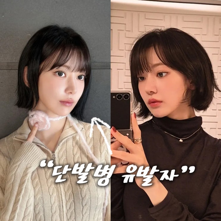  사쿠라 단발 헤어스타일 포인트 인기 있는 이유는?