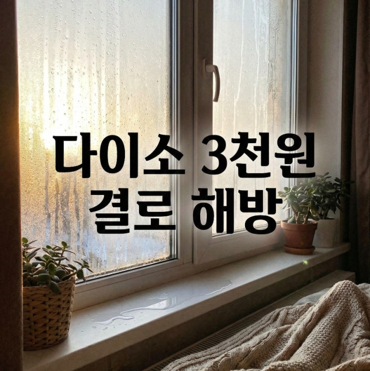  창문 곰팡이 보고 기절할 뻔... 2천원으로 결로 싹 잡은 현실 후기