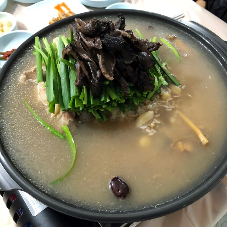  인천 백숙 맛집 장수동 고향집 능이 닭백숙 찐맛도리