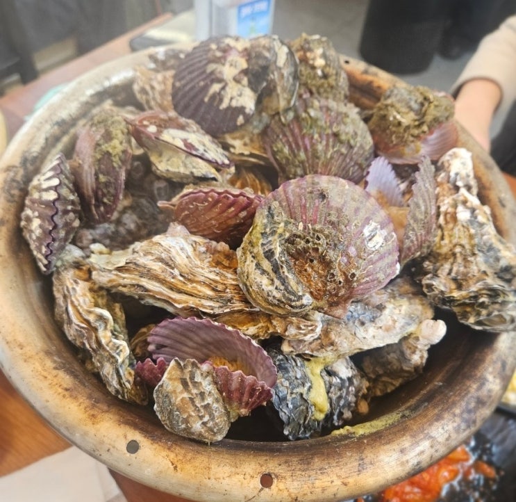  부산 여행 수영 맛집 횟집 주민 활어회 해산물 겨울 신통영굴국밥