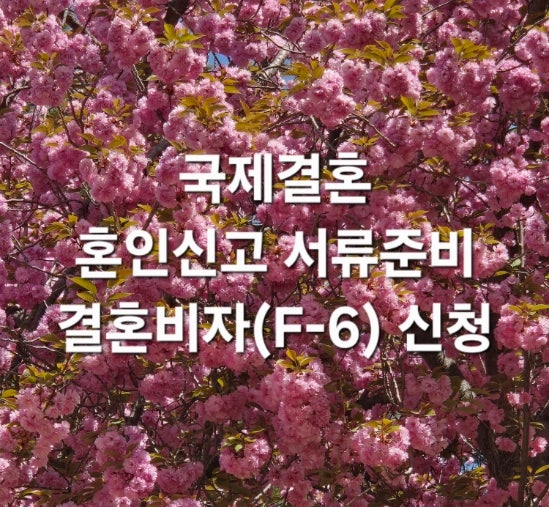  말레이시아 미혼성명서 번역공증 진행사례