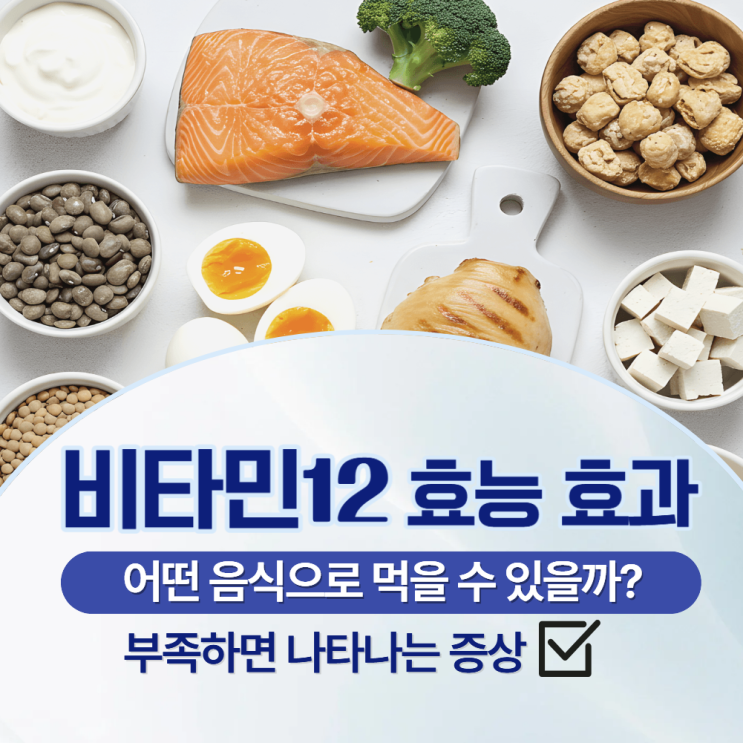  비타민12 효능 효과 어떤 음식 먹어야 할까?