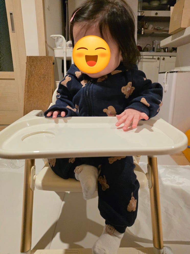  1.5kg 실화? 다쥬베베 유아용 부스터 식탁의자 휴대용 내돈내산