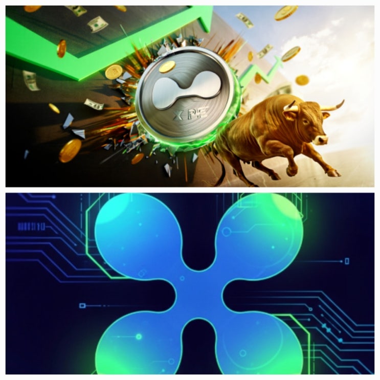 비트코인 고수 XRP 개미들 던질 때 더 샀다 배경 가격 전망