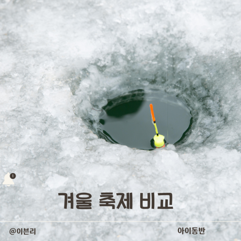 국내여행 겨울 축제 3곳 비교아이 동반은 어디가 편했을까요?