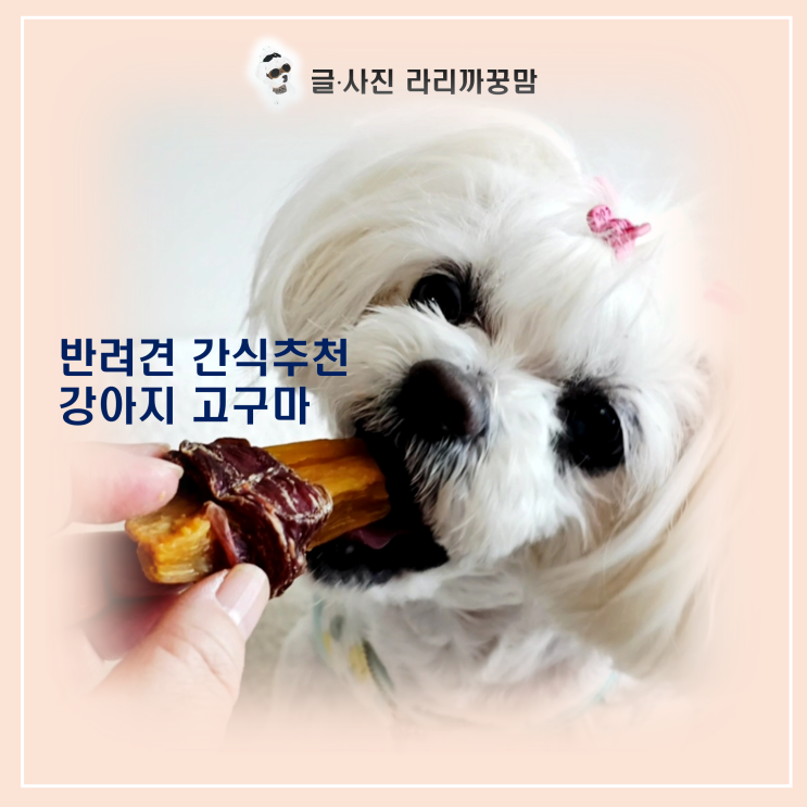  반려견 간식추천 | 강아지 고구마와 오리고기의 환상 조합