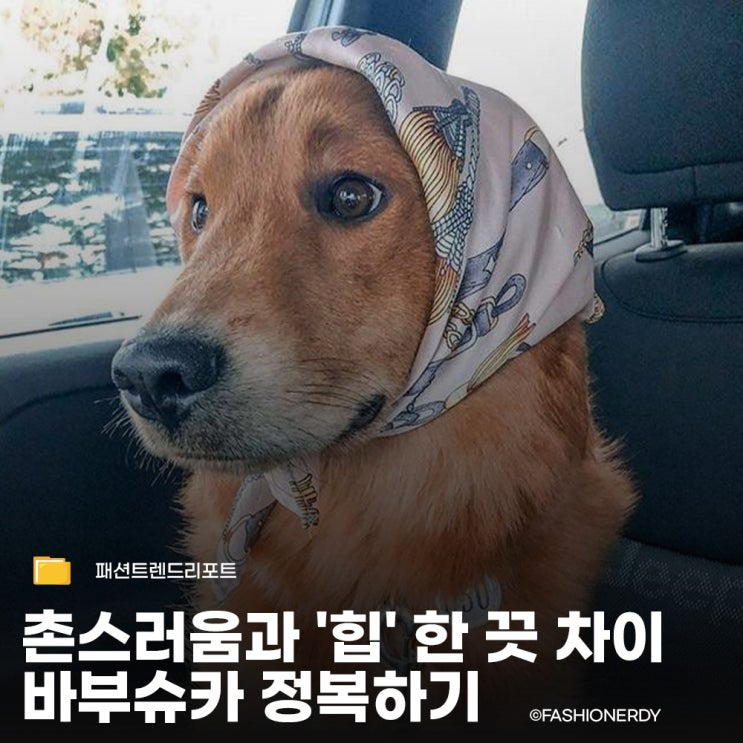  영국 여왕부터 힙합 씬까지 점령한 할머니 스카프, 바부슈카가 트렌드가 된 이야기