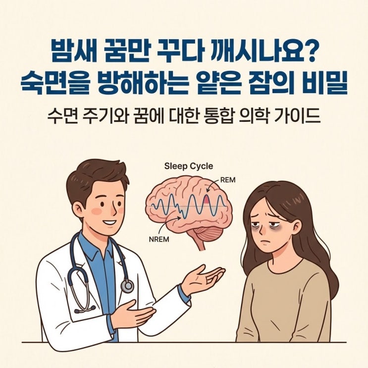  밤새 꿈길을 헤매는 당신에게: 얕은 잠과 수면 주기의 과학적 이해
