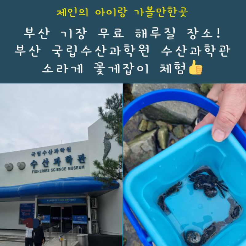 부산 국립수산과학원 수산과학관 해루질 체험 소라게 꽃게잡기