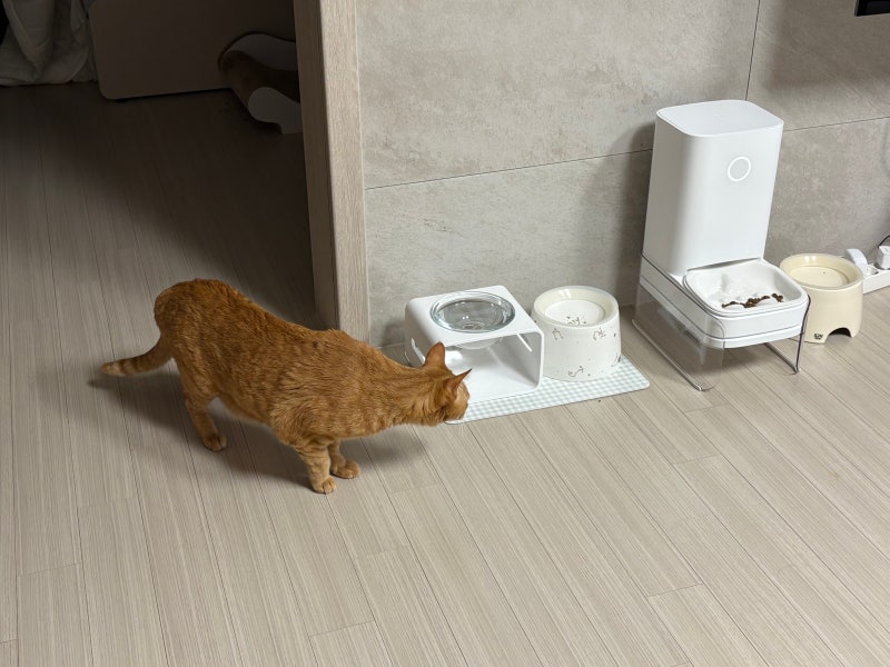 바램펫 밀리 자동급식기 후기ㅣ슬로우식기 효과