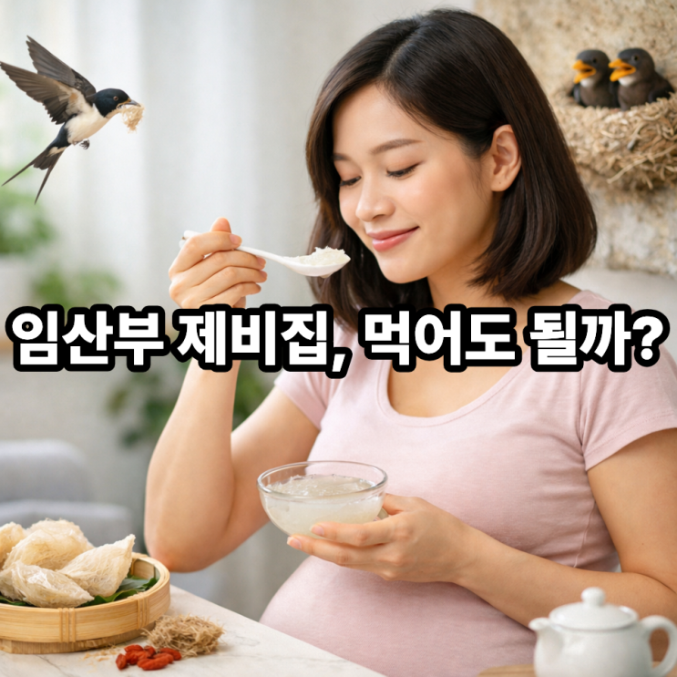  임산부 제비집 섭취 괜찮을까?｜임신 중 먹어도 되는지 전문가 시선 정리