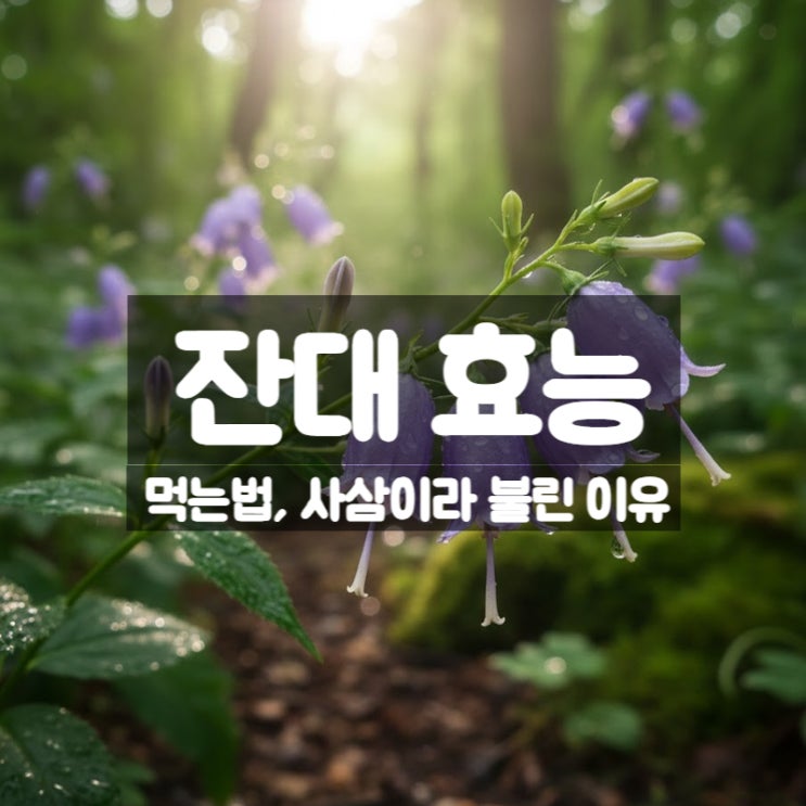  잔대 효능 부작용 먹는법 – 사삼으로 불린 이유