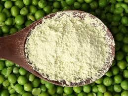  (인디샘 컨설팅) 인도산 완두콩 단백질(Pea)의 수입에 대해 간단히 알아보기