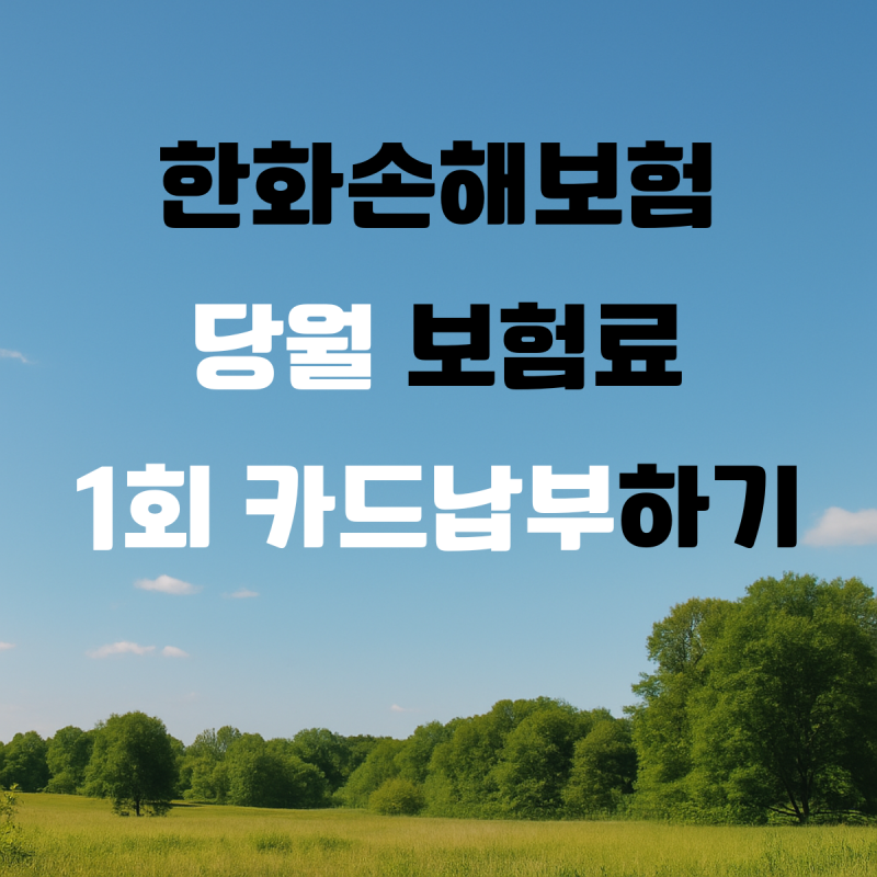 한화손해보험 보험료 1회 카드 납부 방법 | 챗봇 카드 결제