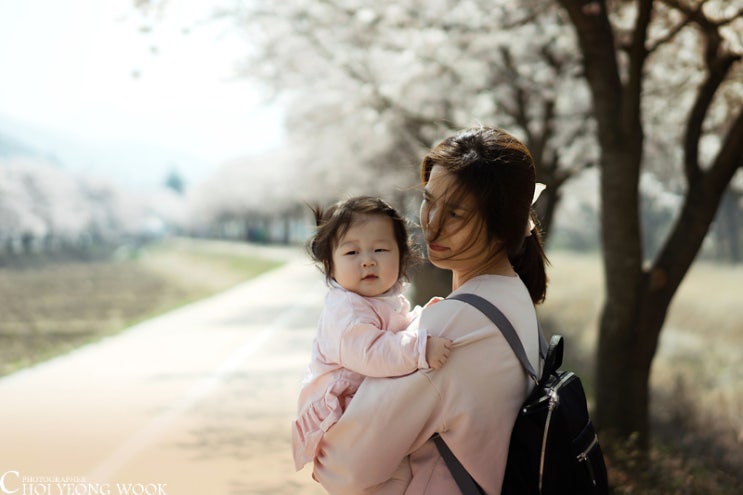  대구 송해공원｜벚꽃이 흩날리는 계절, 지우의 첫 꽃구경