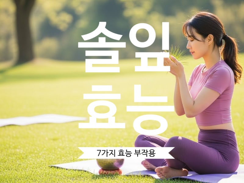 솔잎효능 7가지와 먹는법, 칼로리, 부작용 완벽 정리