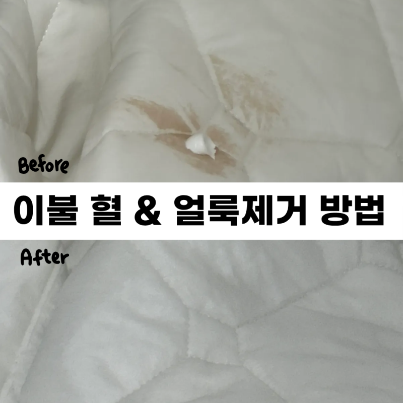이불 얼룩 제거 폼클렌징으로 오래된 생리혈 지우는 법
