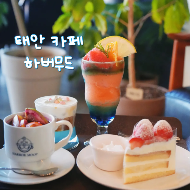 겨울 태안 안면도 여행 가볼만한곳 백사장항 수산시장 하버무드 카페
