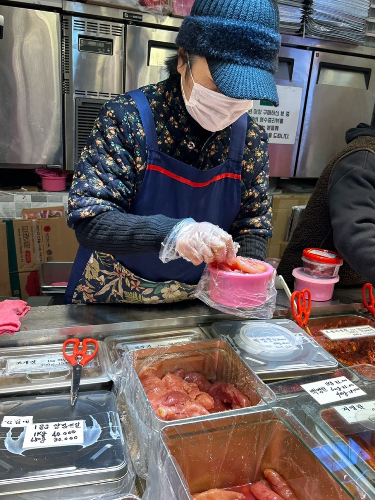  속초 중앙시장 젓갈 맛집 추천｜오징어·창란젓갈 직접 사본 솔직 후기
