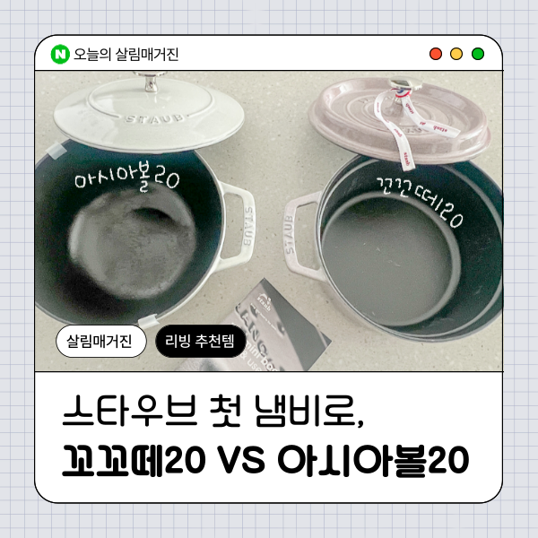 스타우브 첫 냄비로 꼬꼬떼 20 vs 아시아볼 20 장단점 비교