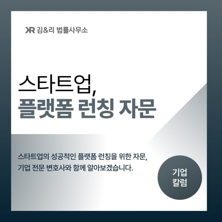  성공적인 플랫폼 런칭을 위한 스타트업 자문 사례