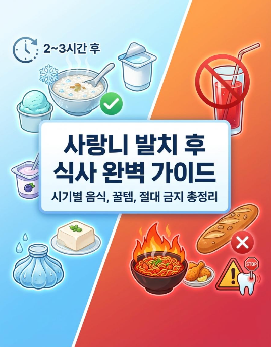 사랑니 발치 후 식사 완벽 가이드시기별 음식 · 편의점 추천 · 절대 금지 사항 정리