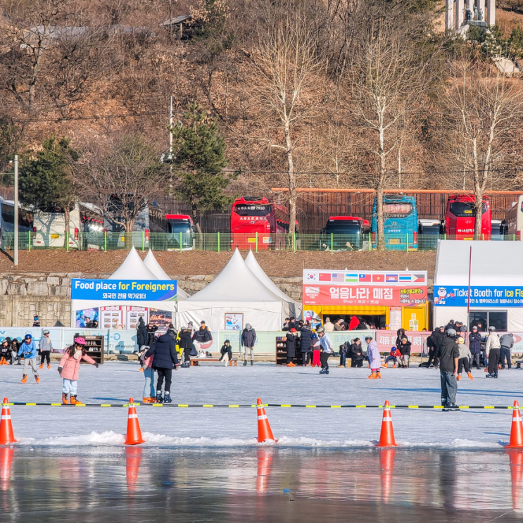 2026 화천산천어축제 개막! 국내 겨울 여행지 추천