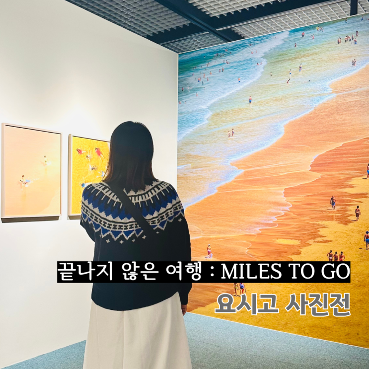  따뜻한 바다가 그리워지는 요시고 사진전