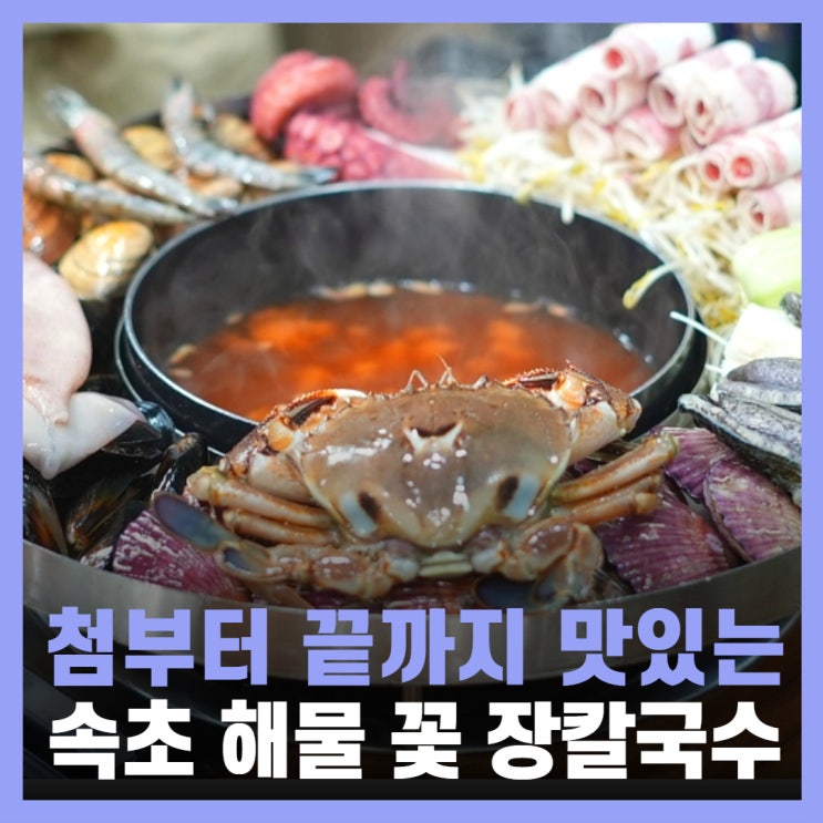  속초 장칼국수 조양동 애견동반식당 속초 칼국수 맛집
