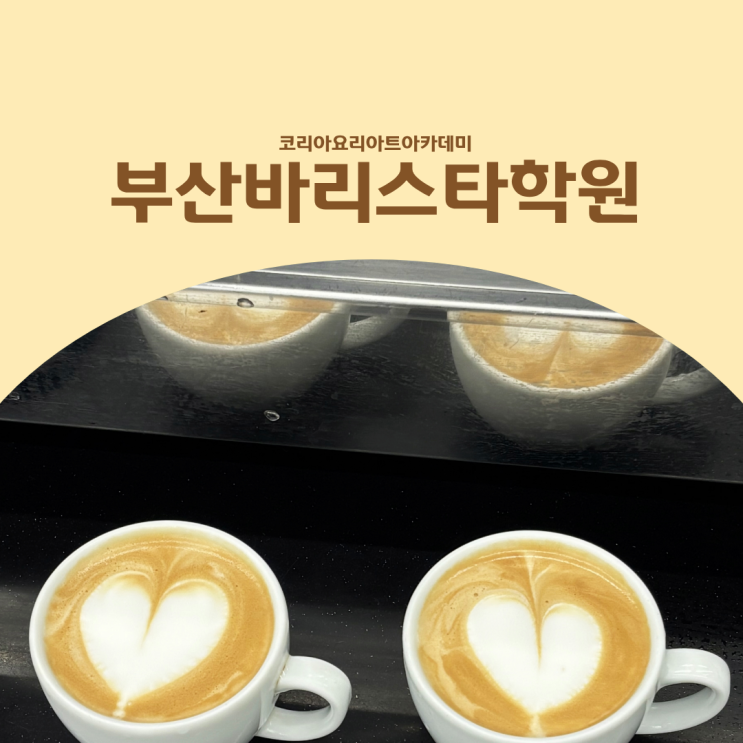  부산바리스타학원 국제 GCS 커피 자격증 취득한 후기
