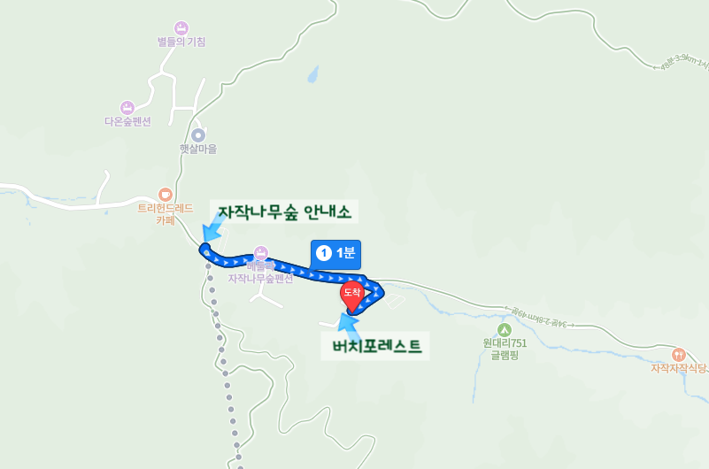 버치포레스트 사진 3